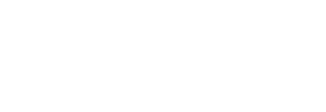 Functional Magnetic Devices